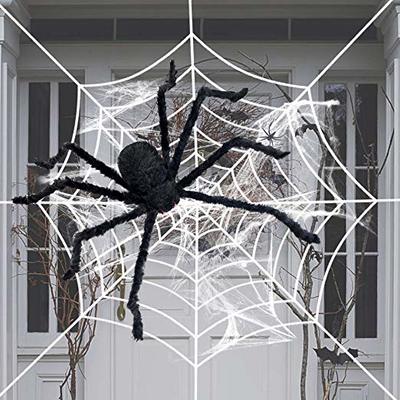 Spiders & Cobwebs