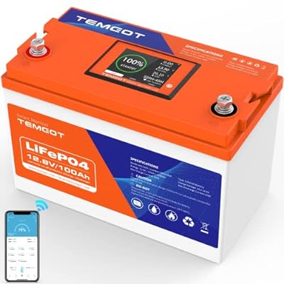 12V 100AH Low Temp Cutoff LiFePO4 Lithium Battery