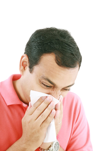 sinus allergy