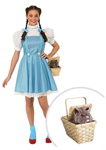 Dorothy Halloween Costume with Toto Basket