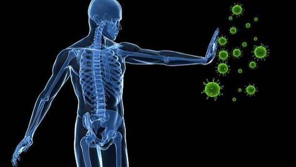 5 Parts of Your Immune System